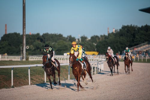 Singapore Pools Horse Racing 